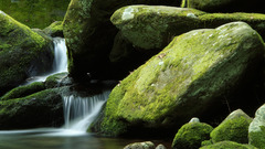 Water nature rocks moss