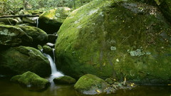 Water nature rocks moss