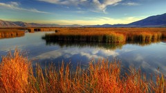 Water nature skyscapes