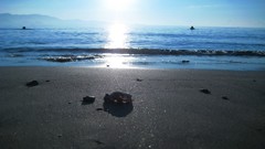 Water nature sun reflections