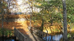 Water nature Trees autumn
