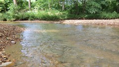 Water nature Trees lakes