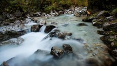 Water nature Trees rocks