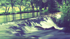 Water nature Trees waterfalls