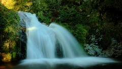 Water nature Trees waterfalls