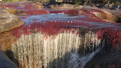 Water nature waterfalls rivers