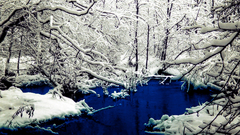 Water nature winter snow