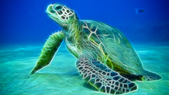 Water ocean Animals Fractalius