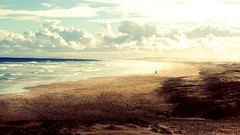 Water ocean Landscapes nature