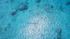 Water ocean nature Sea