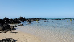 Water ocean rocks Beaches