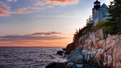 Water ocean Trees rocks