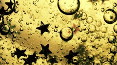 Water oil Stars