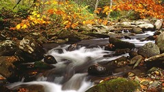 Water outdoors waterscapes