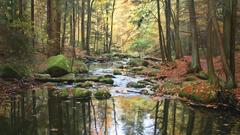 Water paintings Landscapes autumn