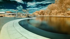 Water palm trees swimming pools