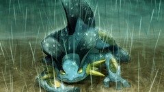 Water Pokemon rain Mudkip