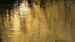 Water pond Lake wide