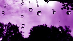 Water purple falling