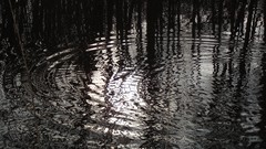 Water rain black and white