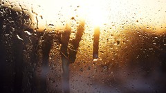 Water rain glass sunlight rain on glass