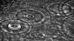 Water rain grayscale