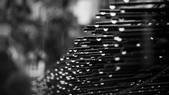 Water rain metal water drops