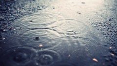 Water rain ripples water