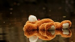 Water reflections stuffed animals toys (children)