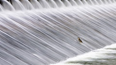 Water rivers south korea