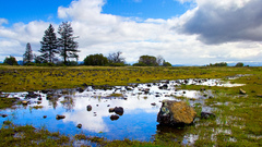 Water rocks clear blue