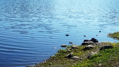 Water rocks shore nature