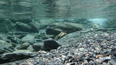 Water rocks underwater