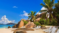 Water sand Trees rocks