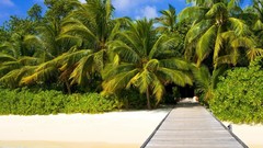 Water sand Trees Sea