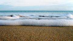 Water sand worms eye