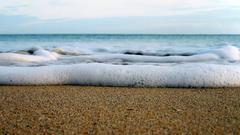 Water sand worms eye