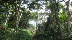 Water santa Rio de Janeiro Brazil Beaches cities brazilian Sao 