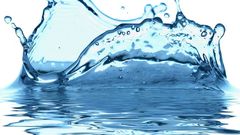 Water searching for special