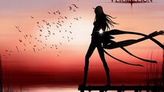 Water sky Birds Anime silhouettes long hair blazblue noel 