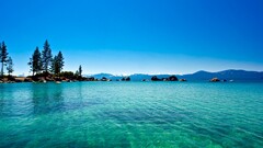 water sky Trees nature outdoors