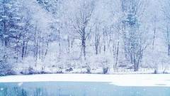 Water snow Trees Frozen