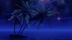 Water Stars palm trees