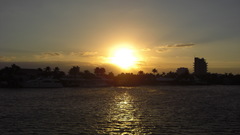 Water sunrise palm Trees