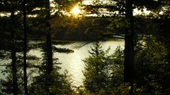 Water sunset forests