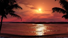 Water sunset Landscapes palm