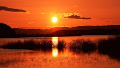 Water sunset nature horizon