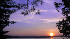 Water sunset nature Trees