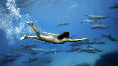 Water swimming nude Dolphins