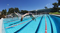 Water swimming pools diving